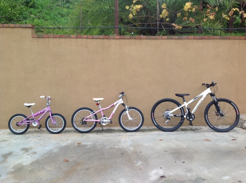 Three Specialized Bikes