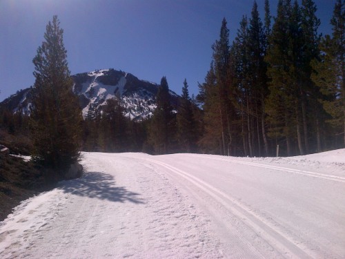 groomed cross country ski trails