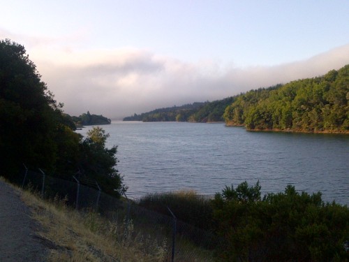 This view was my reward for running 20 miles along the trail by Crystal Springs Reservoir in the northern Santa Cruz Mountains in San Mateo County, California