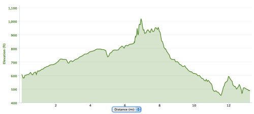 The course elevation as recorded by my Garmin. While it might not be perfectly accurate, I'd say it's about right!